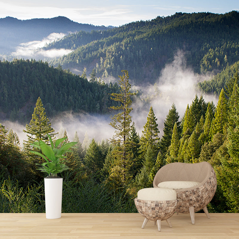 Photography Wall Mural Wallpaper Quiet Forest Sitting Room Wall Mural