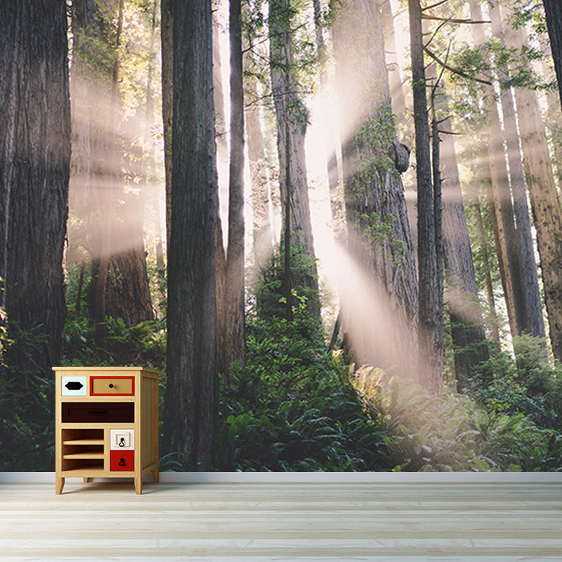 Modern Style Wall Mural Wallpaper Quiet Forest Sitting Room Wall Mural