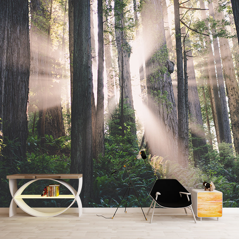 Modern Style Wall Mural Wallpaper Quiet Forest Sitting Room Wall Mural