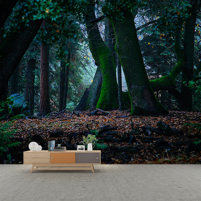 Environment Friendly Resistant Mural Wallpaper Quiet Forest Sleeping Room Wall Mural