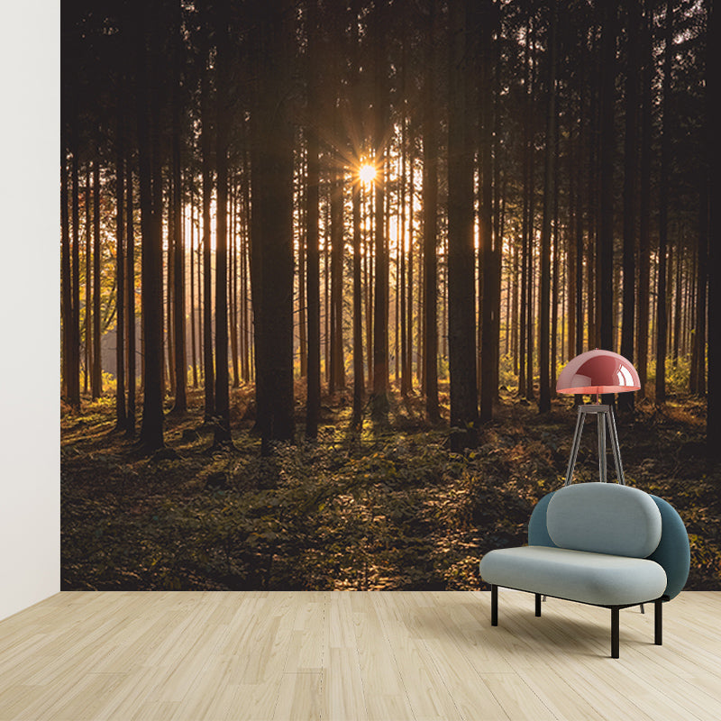 Environment Friendly Resistant Mural Wallpaper Quiet Forest Sleeping Room Wall Mural