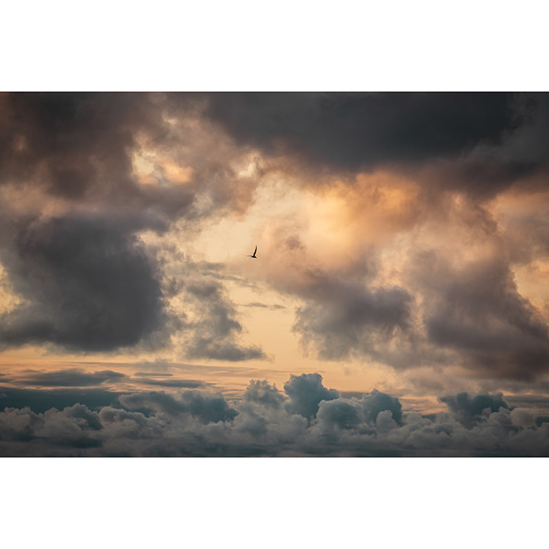 Beautiful Photography Mural Wallpaper Sky Decorative Indoor Wall Mural