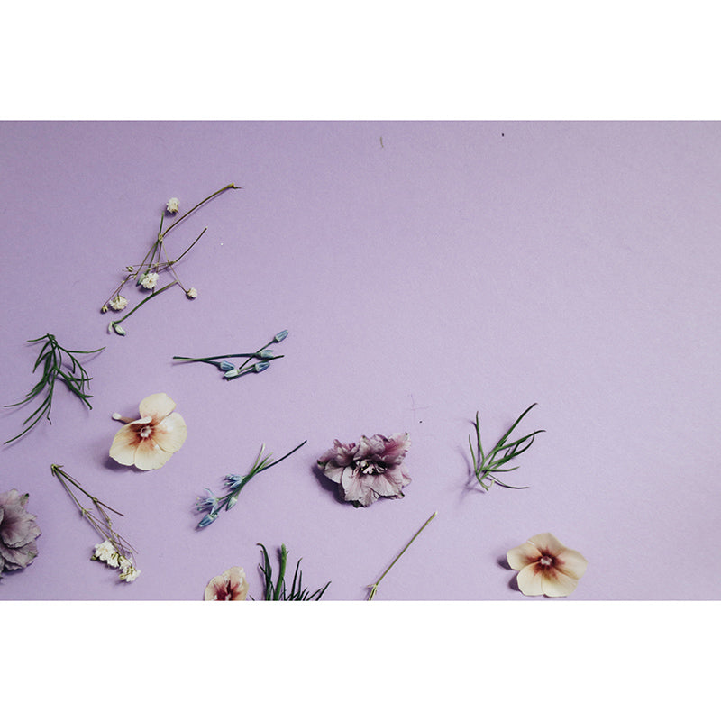 Color Art Photography Mildew Resistant Wallpaper Environmental Sleeping Room Wall Mural