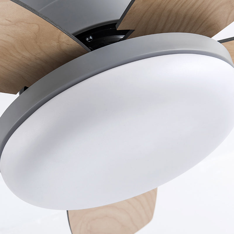 Ventola del soffitto rotondo leggero in stile children 1 1 lampadina a LED LED per camera da letto