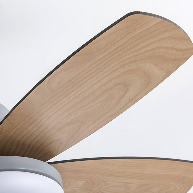 Round Ceiling Fan Light Kids Style Metal 1 Light LED Flush Light for Bedroom