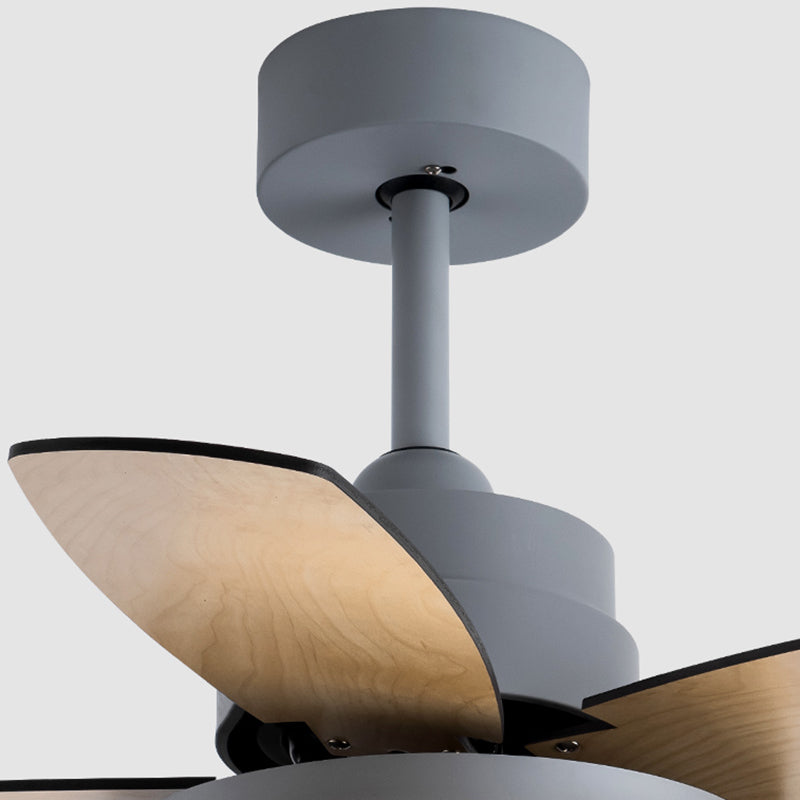 Ventola del soffitto rotondo leggero in stile children 1 1 lampadina a LED LED per camera da letto