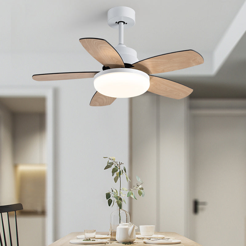 Ventola del soffitto rotondo leggero in stile children 1 1 lampadina a LED LED per camera da letto