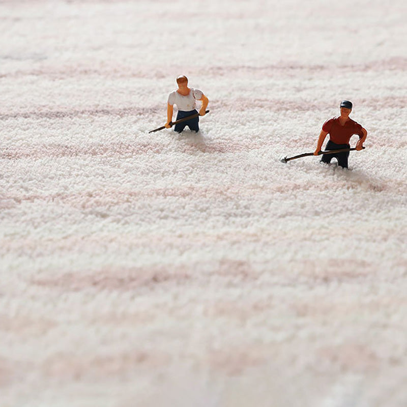 Modern Carpet Plaid Print Home Decor Rugs Stain Resistant Living Room Carpet