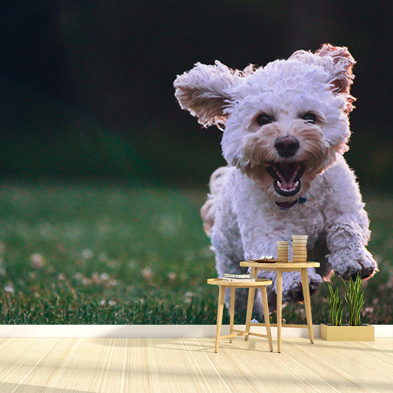 Lovely Dogs Photography Mural Wallpaper Decorative Bedroom Wall Mural