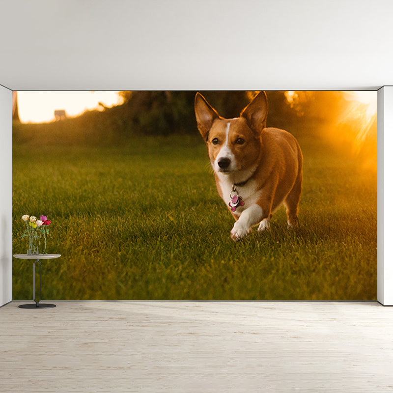 Photography Stain Resistant Wall Mural Wallpaper Lovely Dogs Sitting Room Wall Mural