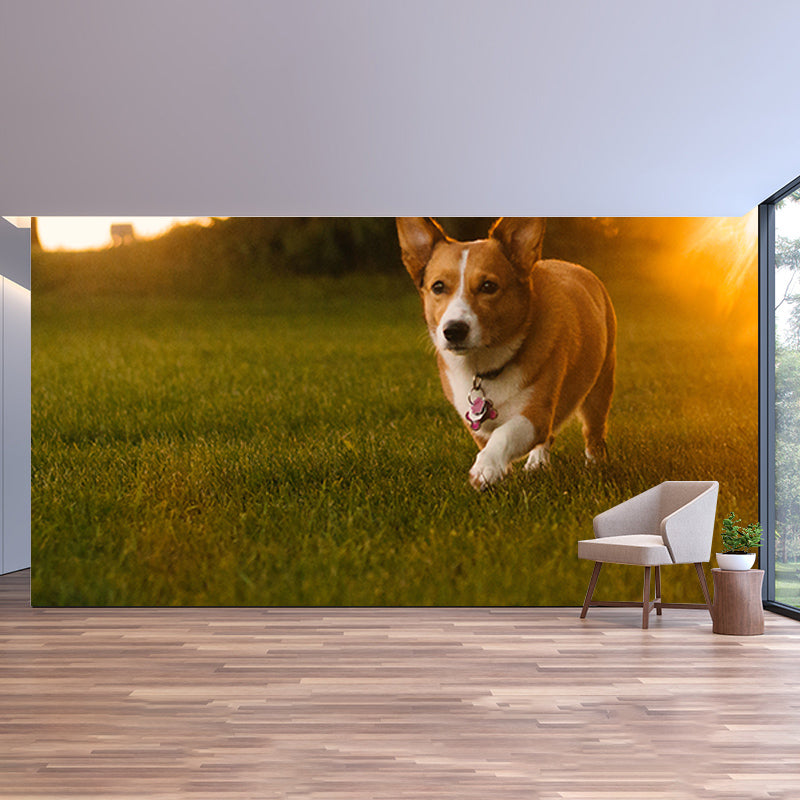 Photography Stain Resistant Wall Mural Wallpaper Lovely Dogs Sitting Room Wall Mural