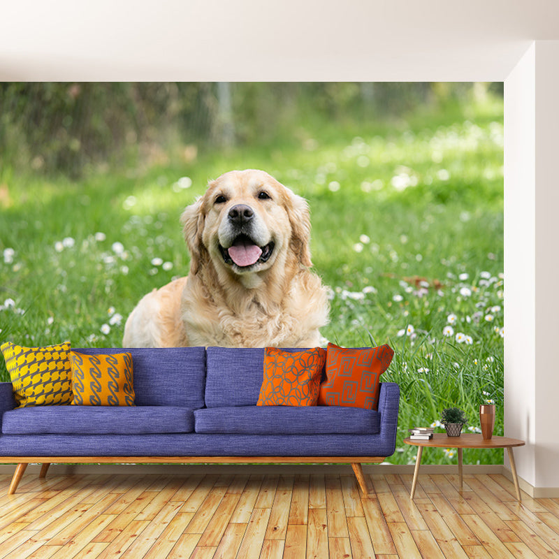 Photography Stain Resistant Wall Mural Wallpaper Lovely Dogs Sitting Room Wall Mural