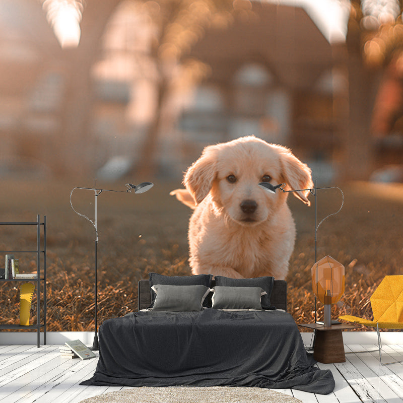 Photography Wall Mural Wallpaper Lovely Dogs Sitting Room Wall Mural