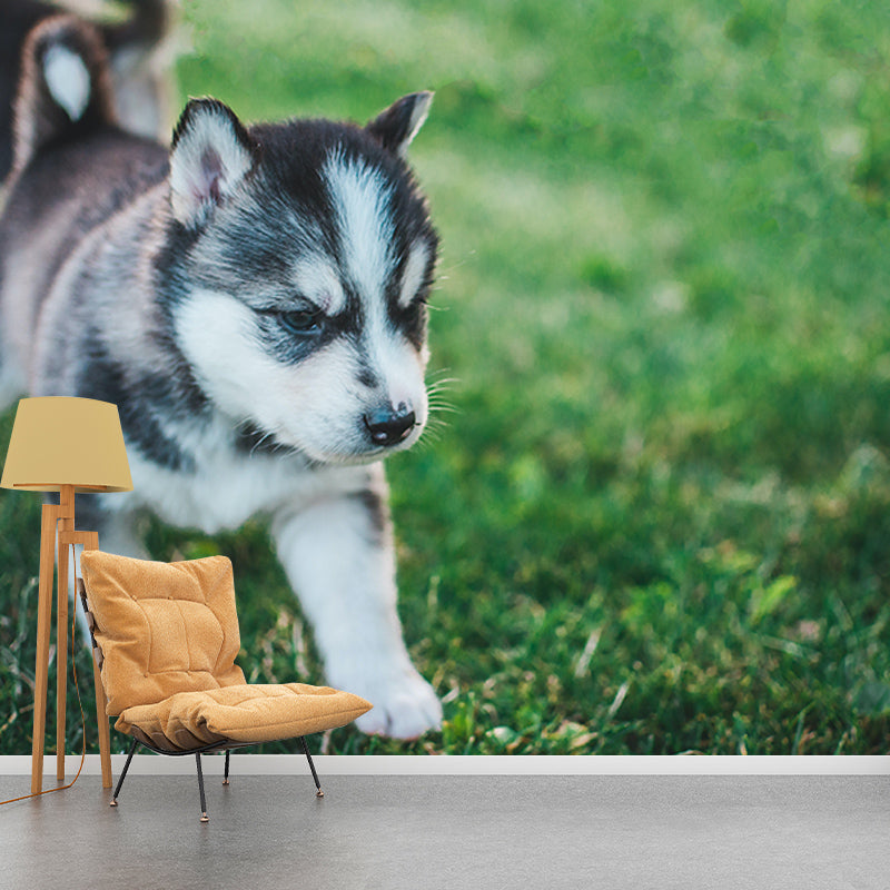 Photography Wall Mural Wallpaper Lovely Dogs Sitting Room Wall Mural