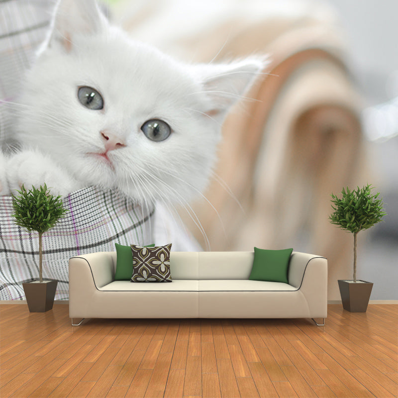 Modern Photography Mural Wallpaper Cute Cats Living Room Wall Mural
