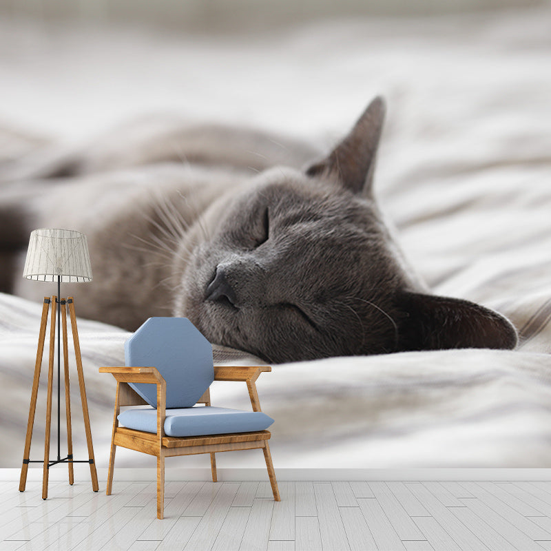 Decorative Photography Mural Wallpaper Cute Cats Indoor Wall Mural