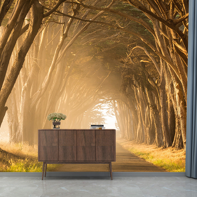 Photography Environment Friendly Mural Wallpaper Pathway Bedroom Wall Mural