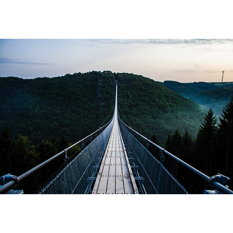 Eco-friendly Wall Mural Wallpaper Pathway Photography Sitting Room Wall Mural