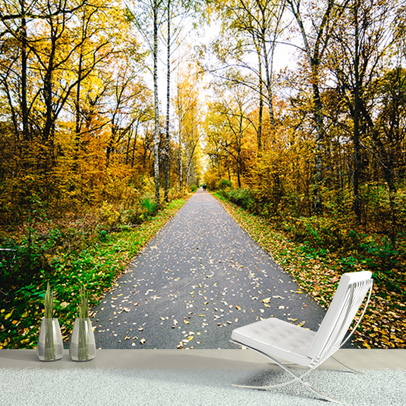 Eco-friendly Wall Mural Wallpaper Pathway Photography Sitting Room Wall Mural
