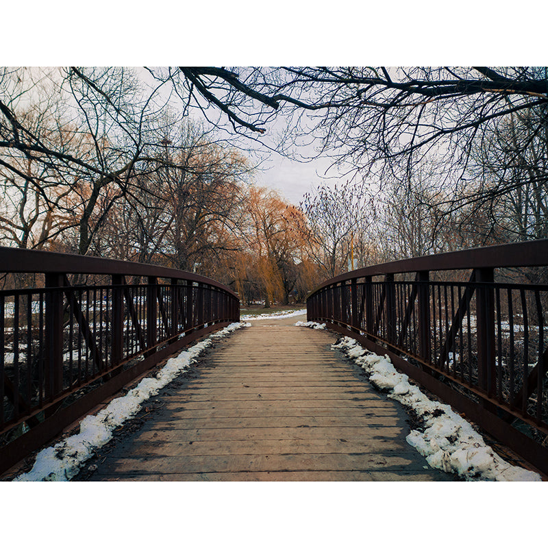 Beautiful Photography Mural Wallpaper Wooden Bridge Indoor Wall Mural