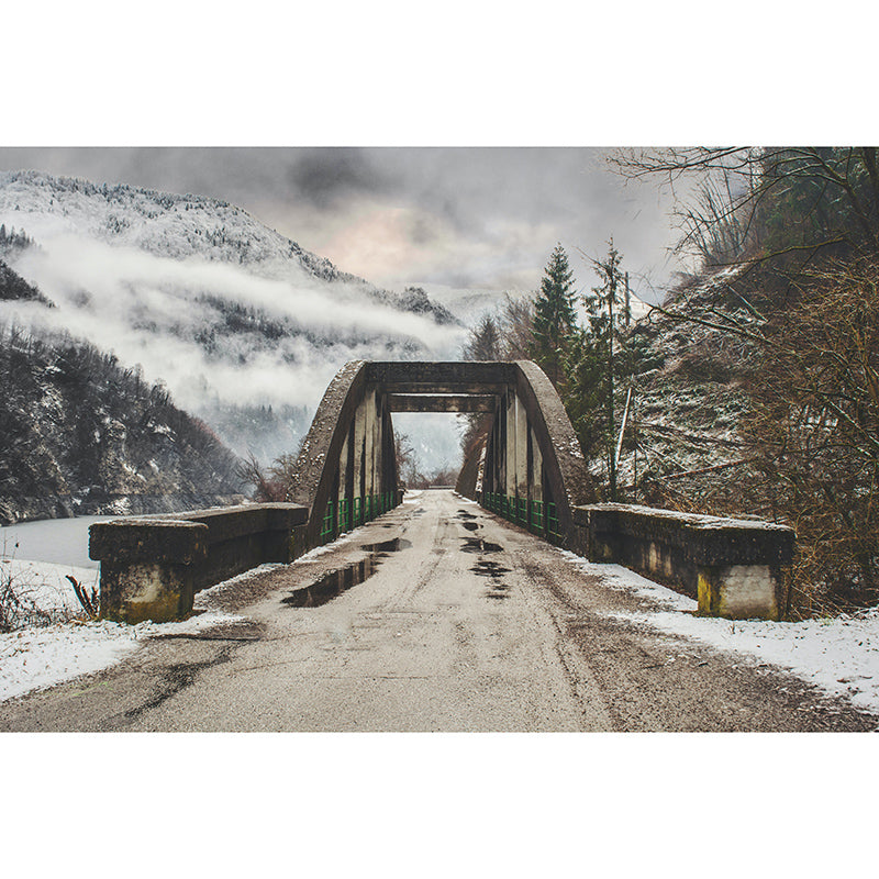 Photography Stain Resistant Mural Wallpaper Wooden Bridge Sleeping Room Wall Mural