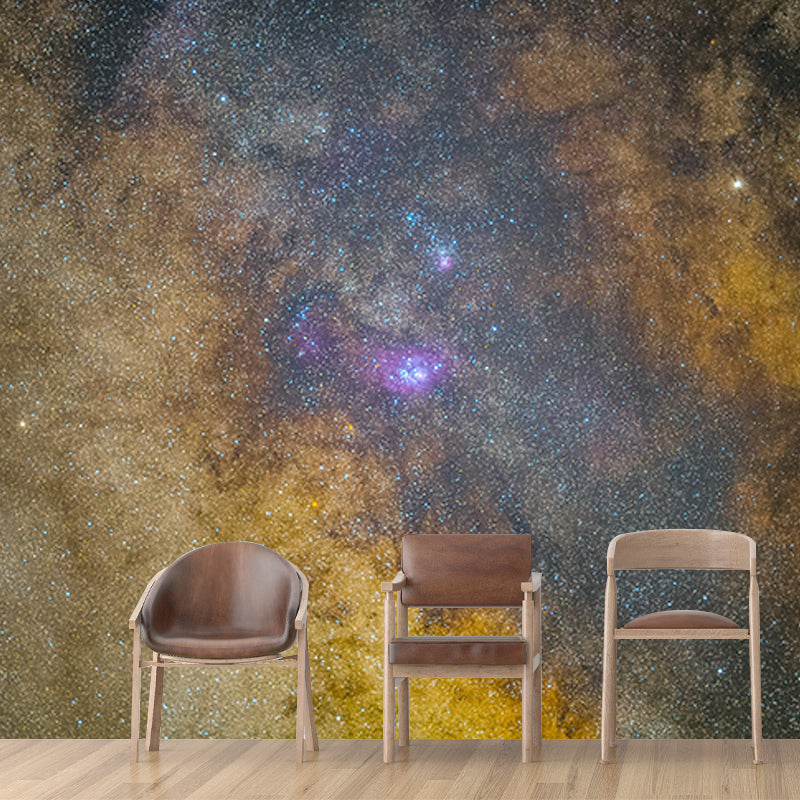 Photography Stain Resistant Mural Wallpaper Beautiful Galaxy Living Room Wall Mural