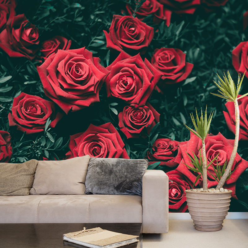 Photography Wall Mural Wallpaper Elegant Rose Sitting Room Wall Mural