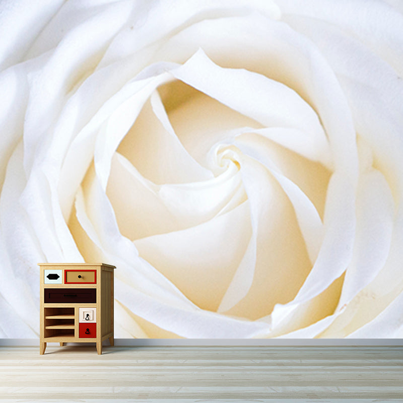 Environmental Photography Mural Wallpaper Elegant Rose Indoor Wall Mural