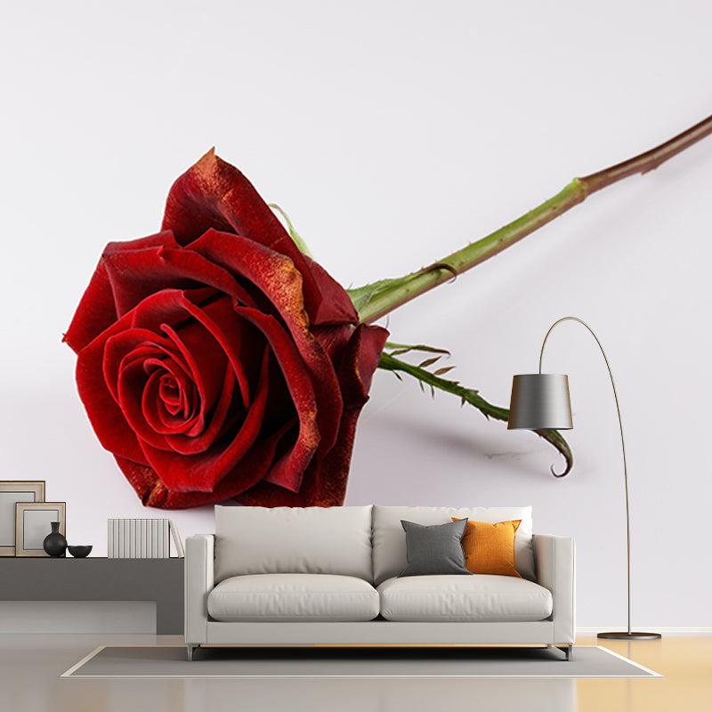 Photography Stain Resistant Wallpaper Beautiful Roses Living Room Wall Mural