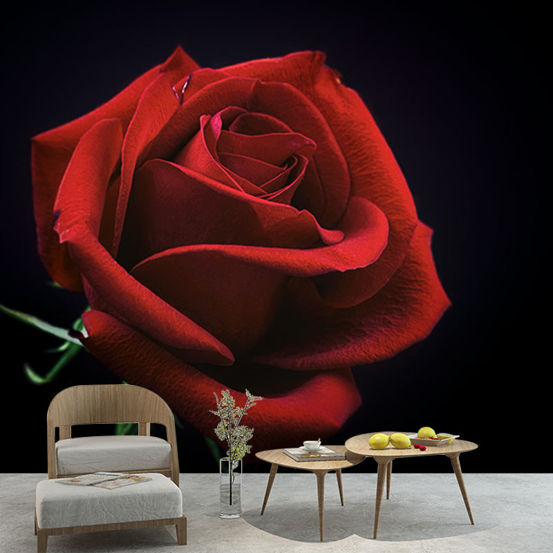Photography Stain Resistant Wallpaper Beautiful Roses Living Room Wall Mural