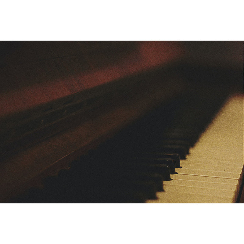 Washable Photography Mural Wallpaper Musical Instruments Indoor Wall Mural