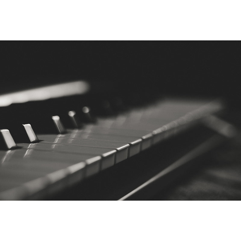 Photography Stain Resistant Mural Wallpaper Musical Instruments Living Room Wall Mural