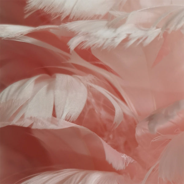 Luminaire de bureau métallique de style moderne lampe de bureau de plumes créatives pour chambre à coucher