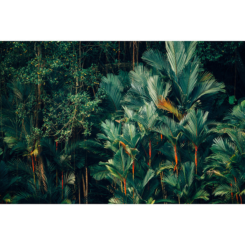 Environment Friendly Resistant Mural Wallpaper Tropic Sleeping Room Wall Mural