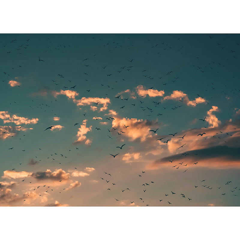 Modern Style Mural Wallpaper Fantasy Sky Photography Indoor Wall Mural