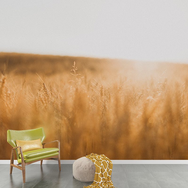 Wheat Field Mildew Resistant Wallpaper Photography Sleeping Room Wall Mural