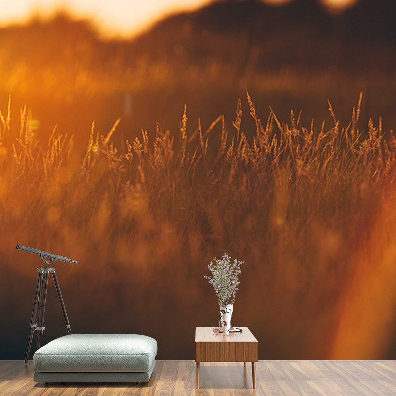 Beautiful Photography Mural Wallpaper Wheat Field Indoor Wall Mural