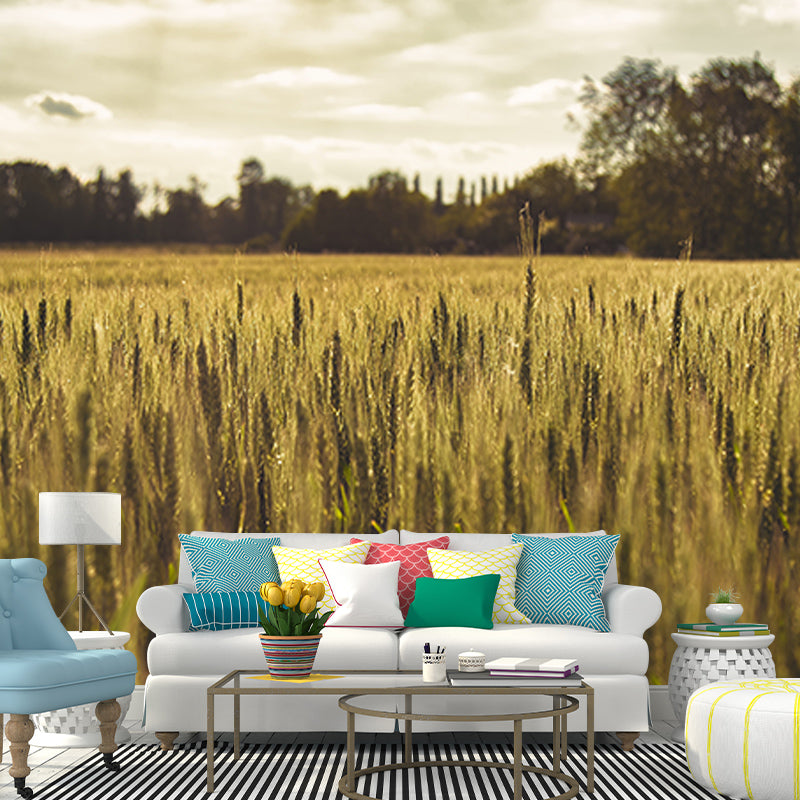 Photography Stain Resistant Mural Wallpaper Wheat Field Sleeping Room Wall Mural