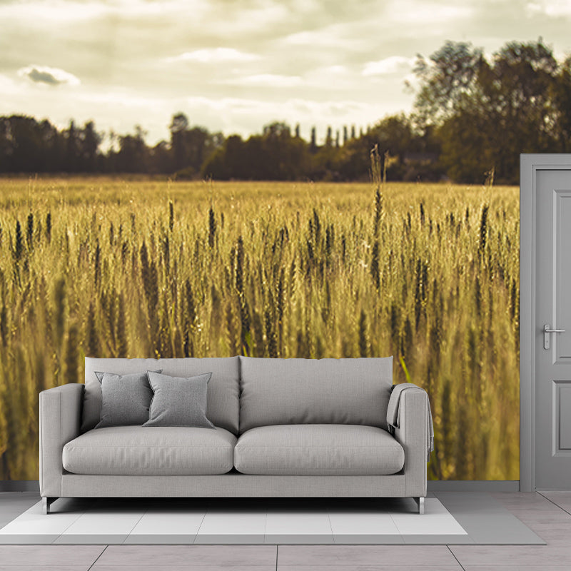 Photography Stain Resistant Mural Wallpaper Wheat Field Sleeping Room Wall Mural