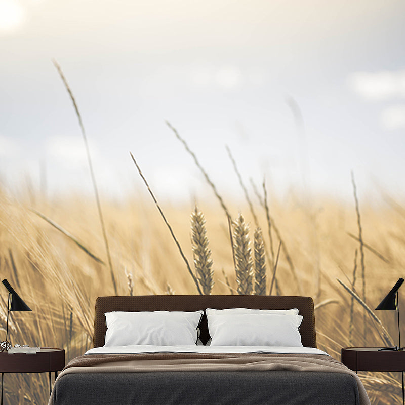 Photography Stain Resistant Mural Wallpaper Wheat Field Sleeping Room Wall Mural