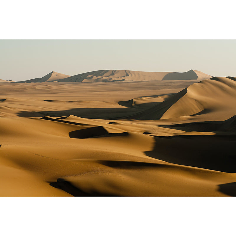 Desert Landscape Mildew Resistant Mural Wallpaper Indoor Wall Mural