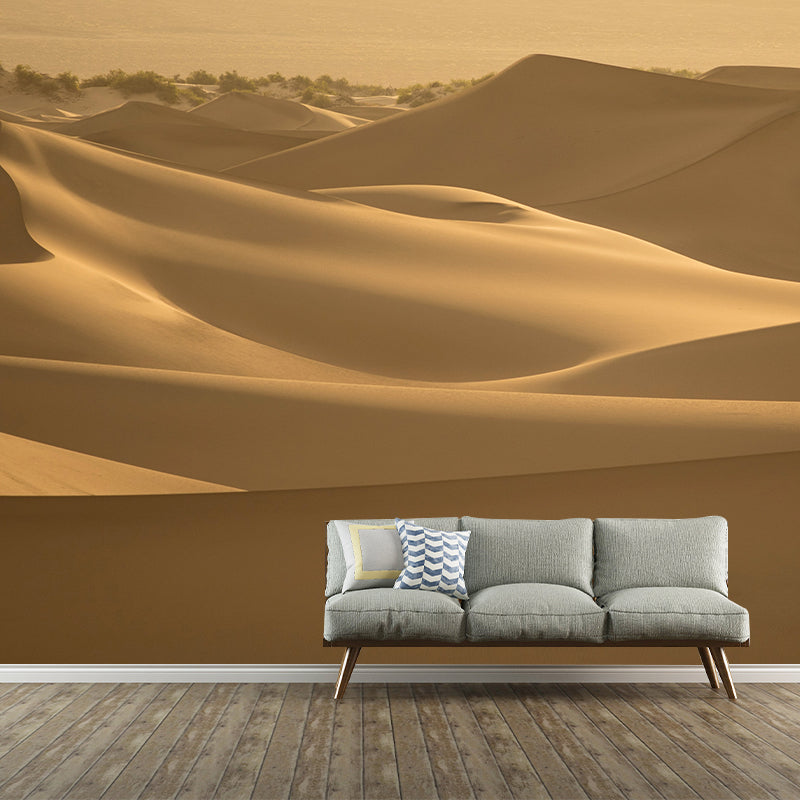 Desert Landscape Photography Stain Resistant Mural Wallpaper Indoor Wall Mural