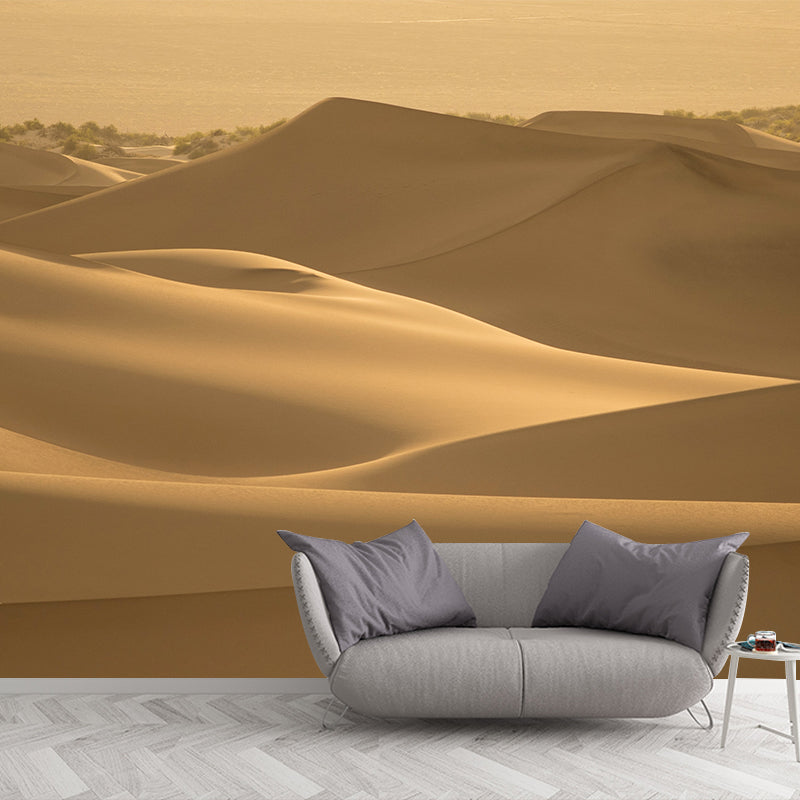 Desert Landscape Photography Stain Resistant Mural Wallpaper Indoor Wall Mural