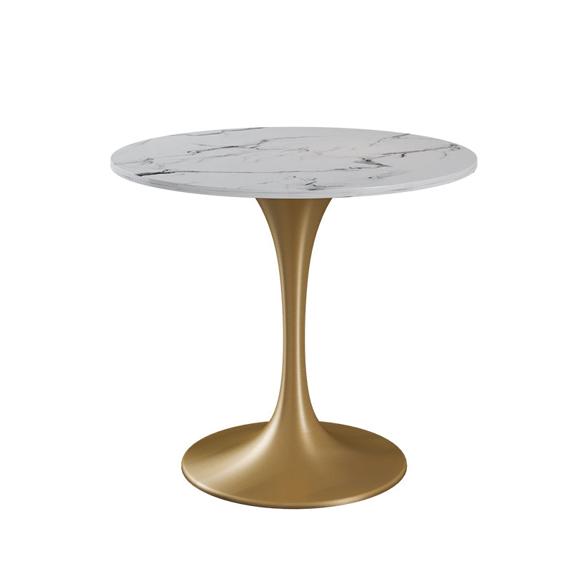 Glam 1/4/5 Pieces Dining Set Sintered Stone Dining Table Set for Dining Areas