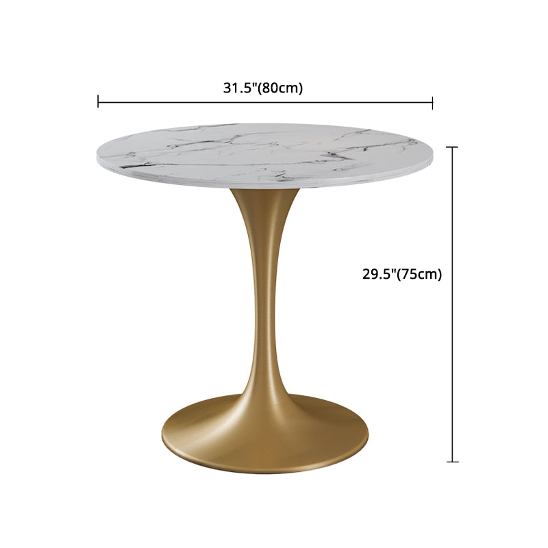 Glam 1/4/5 Pieces Dining Set Sintered Stone Dining Table Set for Dining Areas
