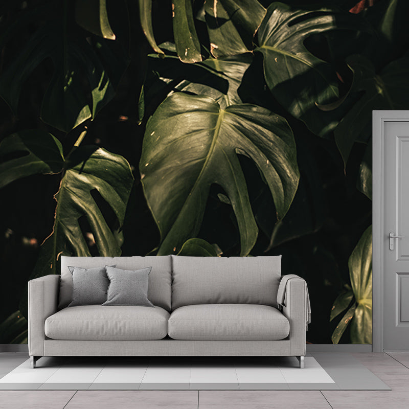 Tropical Plants Environmental Photography Mural Wallpaper Indoor Wall Mural