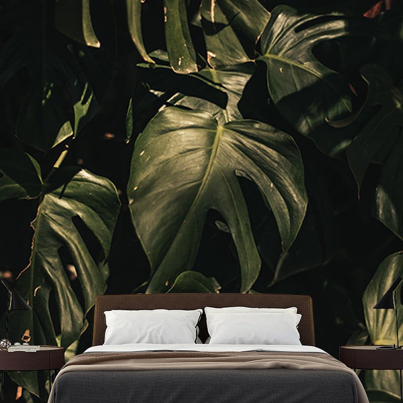 Tropical Plants Environmental Photography Mural Wallpaper Indoor Wall Mural
