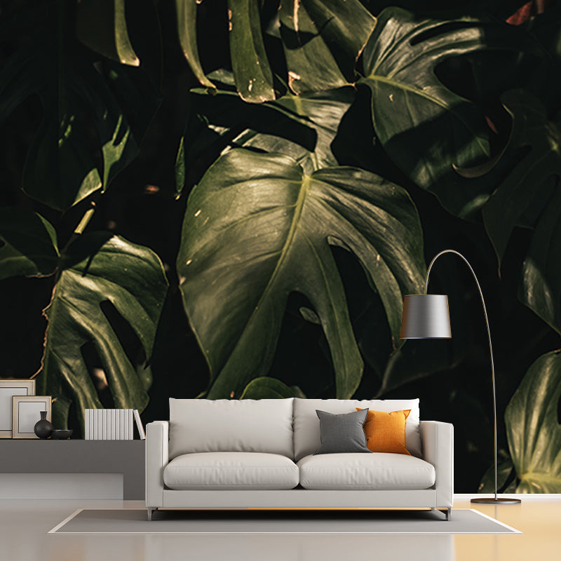 Tropical Plants Environmental Photography Mural Wallpaper Indoor Wall Mural