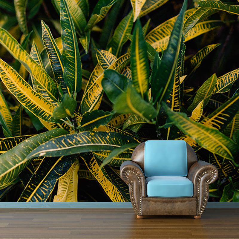 Tropical Plants Environmental Photography Mural Wallpaper Indoor Wall Mural