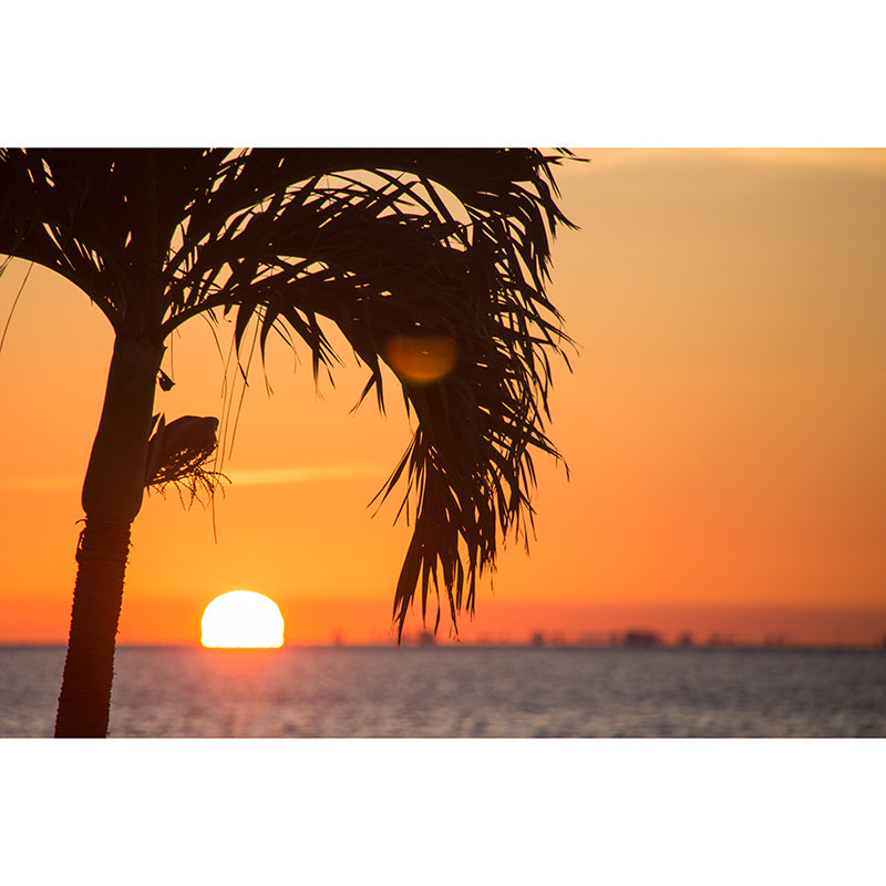 Wallpaper Photography Stain Resistant Tropical Landscape Living Room Wall Mural